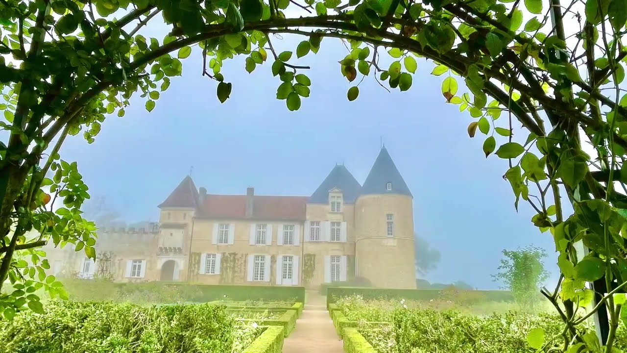 Mystical Ch&acirc;teau d'Yquem in Sauternes in Bordeaux