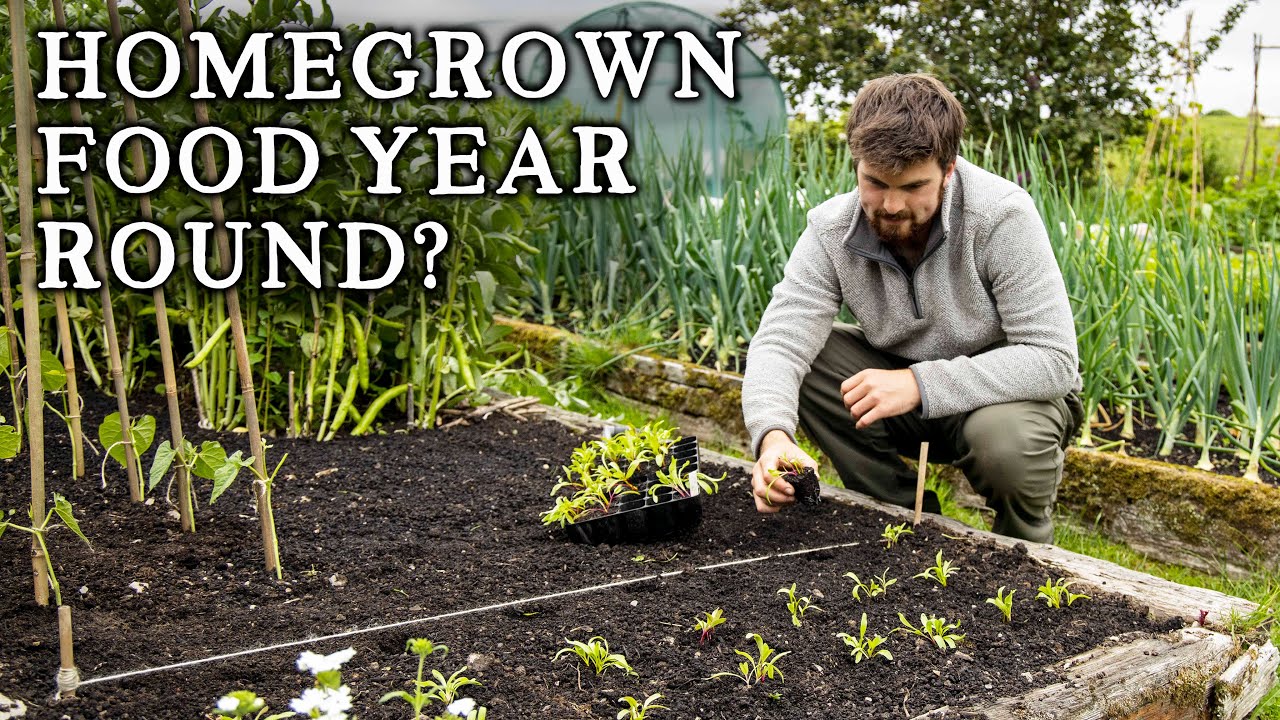 The Simple Way to Becoming Self-Sufficient in Food