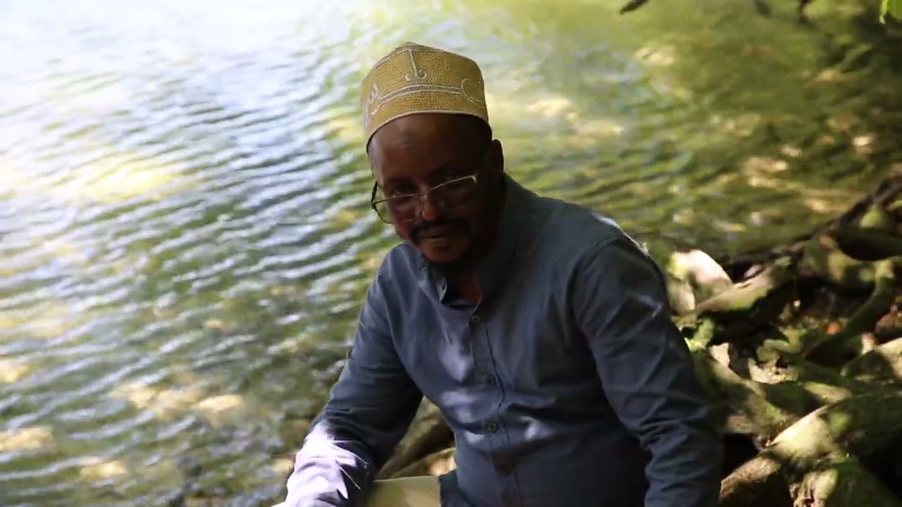 Comores  Grande Comore Iconi Mangrove Lac Marabout / Comoros Ngazidja Iconi Lake