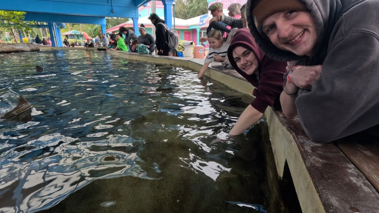 Feeding and petting #stingrays @SeaWorldOrlando 
