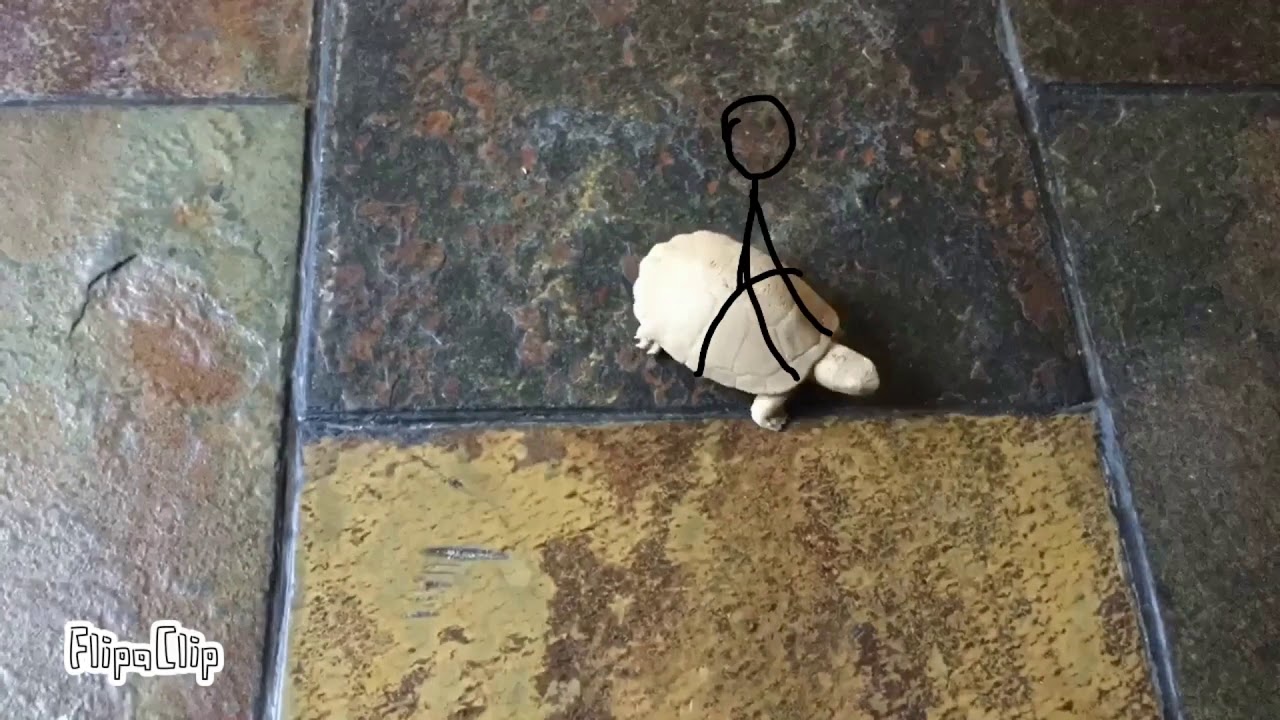 Don&rsquo;t ride me! Animation to real life