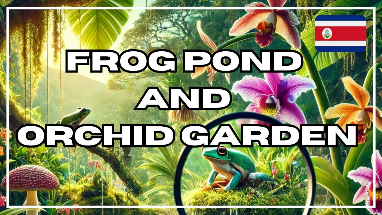 Magical Frogs & Vibrant Orchids: Monteverde's Rare Species 🌸🐸