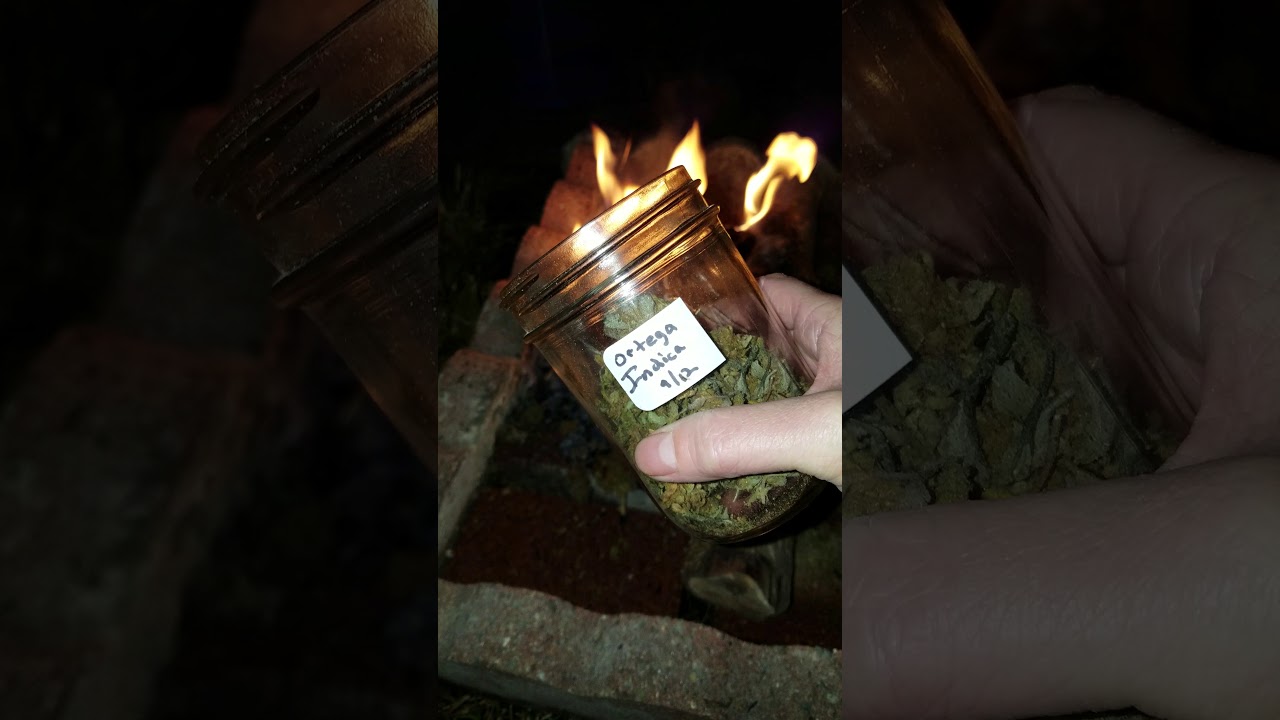 24 jars of Weed bonfire! Bye bye all those old jars of weed I never got around to smoking.