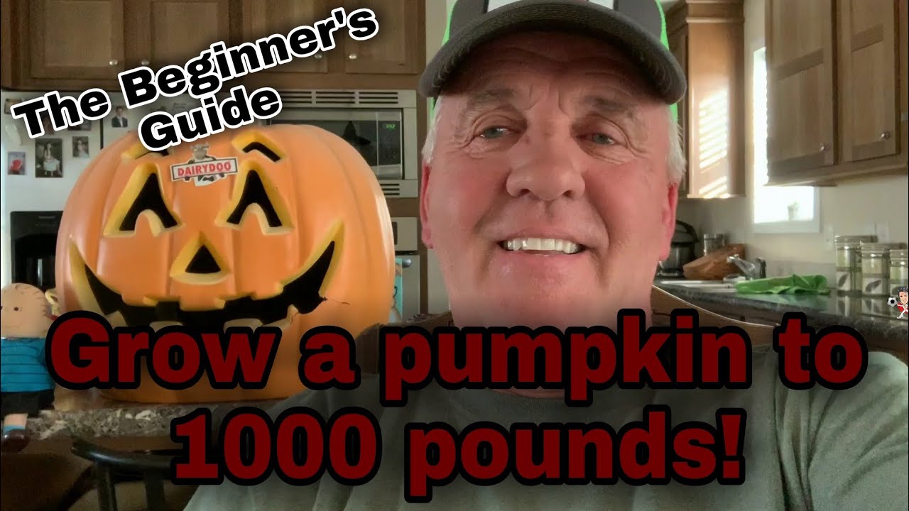 Growing a 1000 lb. Pumpkin Top 5 TIPS