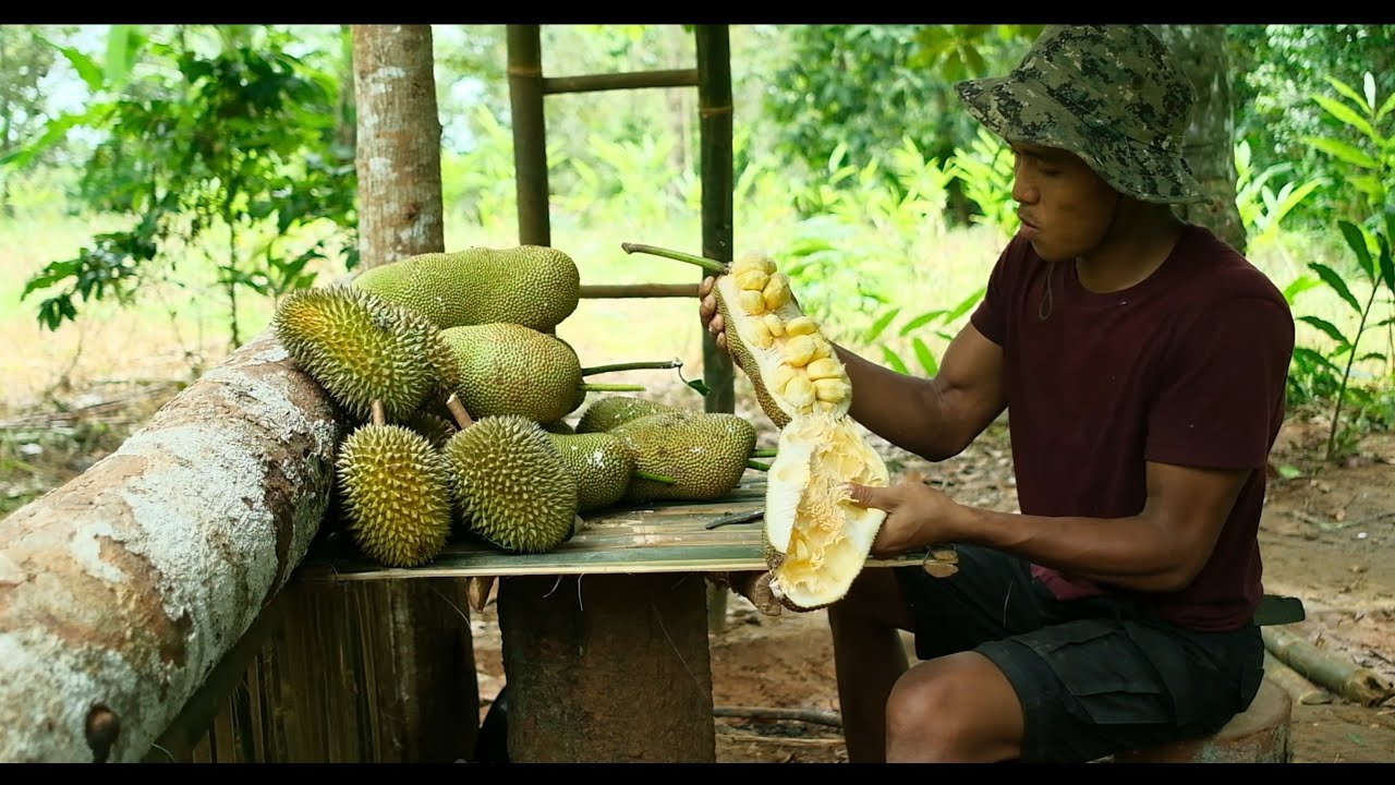 CAMPING PANEN DURIAN DAN CEMPEDAK MEMBUAT SHELTER YANG KUAT UNTUK TEMPAT TINGGAL