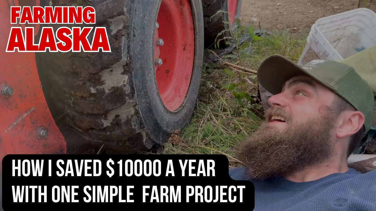 Как я сэкономил 1000 долларов в год на ферме.