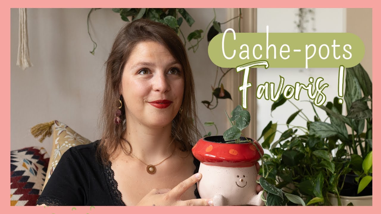 Mes Cache-pots préférés!