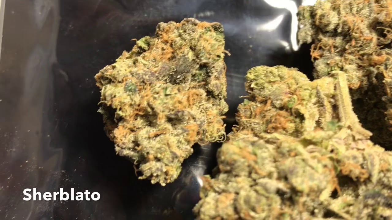 Sherblato cannabis strain