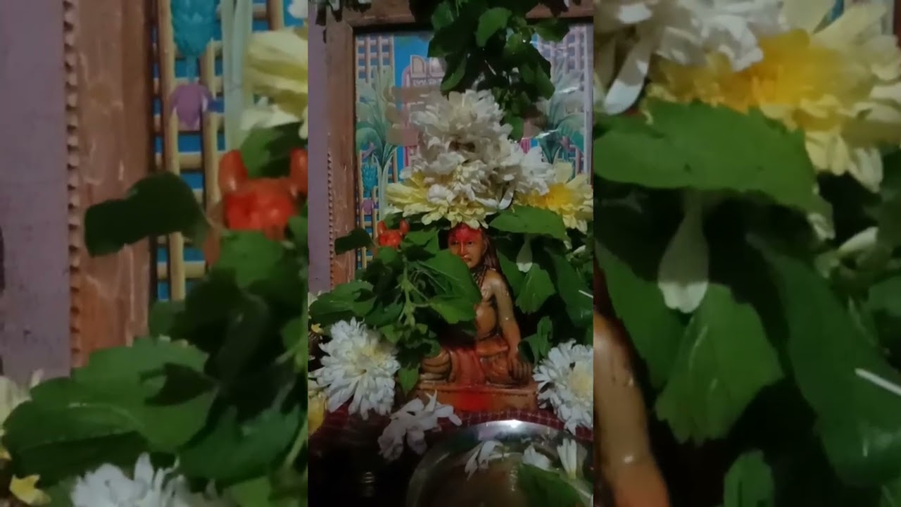 ರಾಘವೇಂದ್ರಸ್ವಾಮಿಗಳು ಗುರುಗಳು| ಭಕ್ತೆಯ ಮಾತಿಗೆ ಹೂವಿನ ಪ್ರಸಾದ ನೀಡಿದ ಕ್ಷಣ  🙏🙏| ರಾಯರಿದ್ದಾರೆ ರಾಯರನ್ನ ನಂಬಿ |🙏🙏