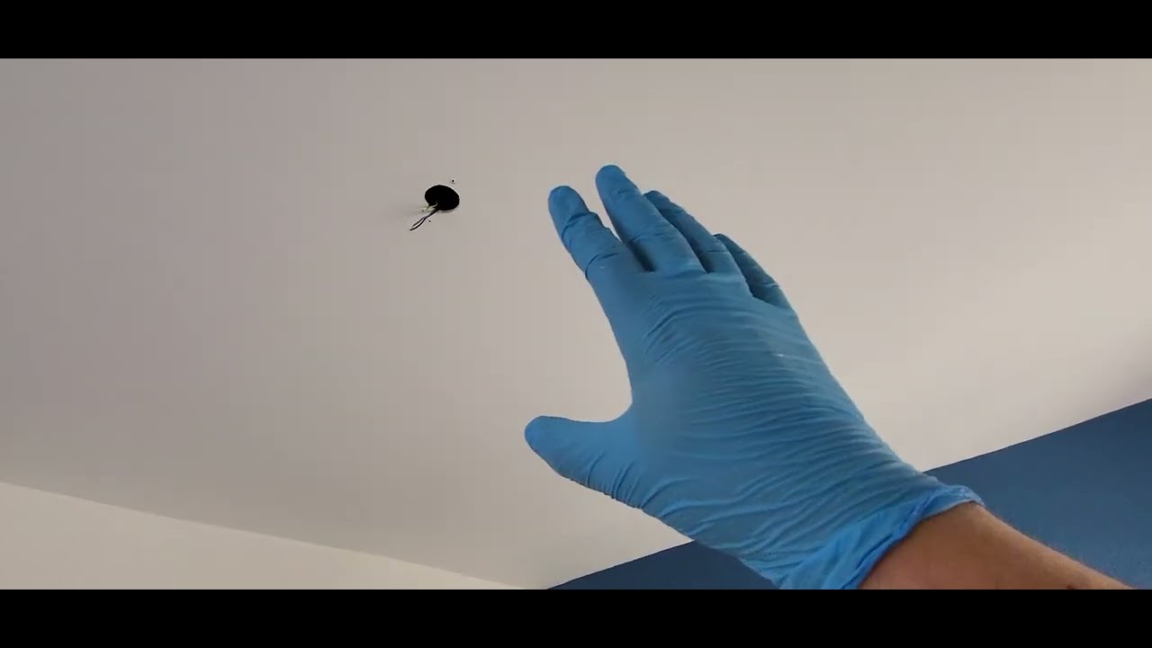 Rongeurs (rats & souris) dans le plafond ! Que faire ?
