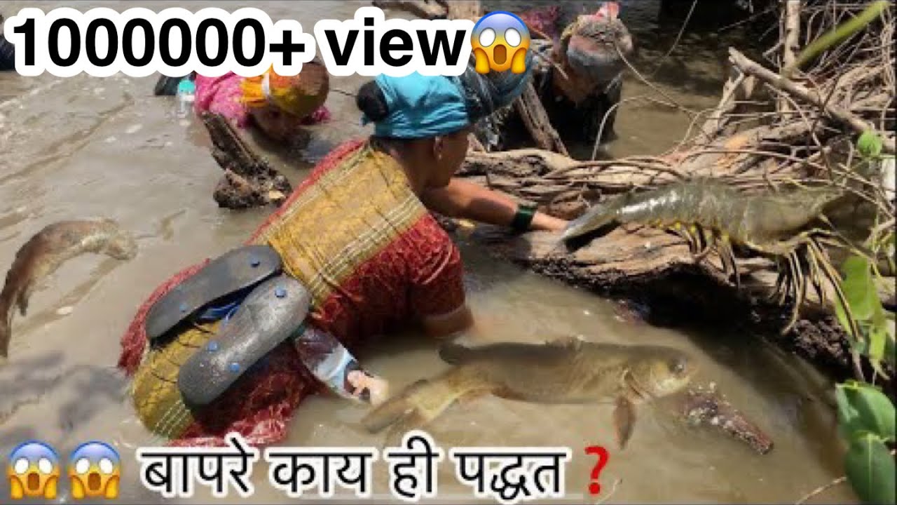 खाडित मच्छी पकड़ायला निघाल्या गावातल्या महिला   आणि भेटले मोठ मोठे पोचे, फंटूस, बोयट, चिमनी,खरबे