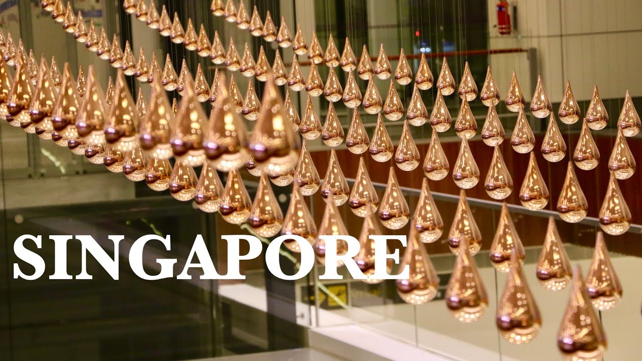 Singapore Travel Vlog | Singapore Highlights | Singapore Best Places To Visit | Travel Vlog | Travel