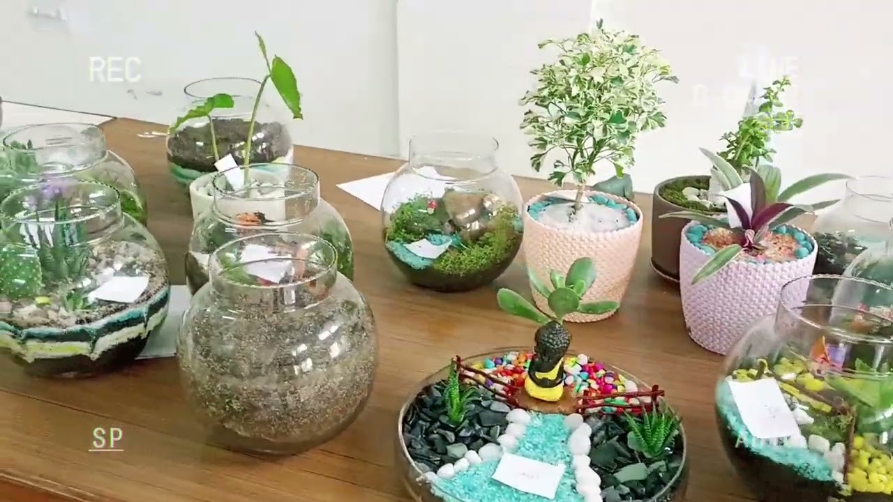 Terrarium prepared by HELP students at College of Horticulture, Rajendranagar, Hyderabad, SKLTSHU