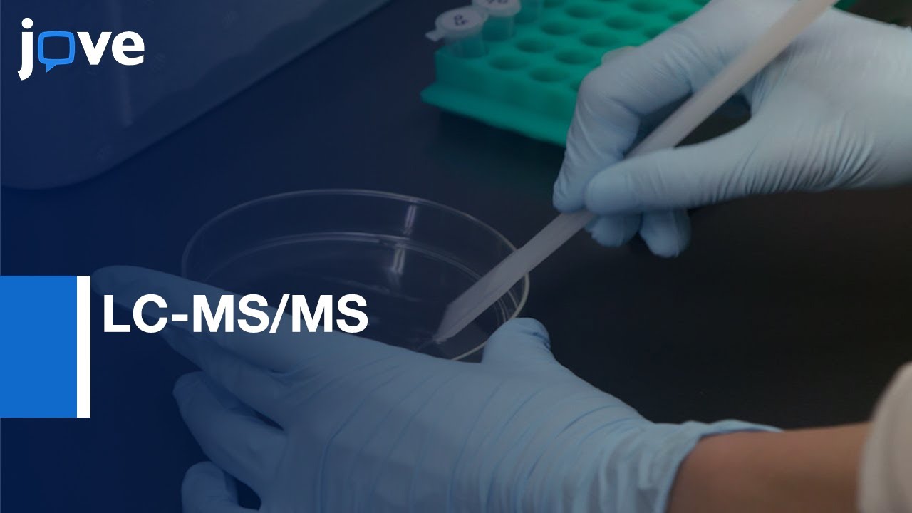 Nuclear Cofactor Protein Interactions Identification by LC-MS/MS | Protocol Preview