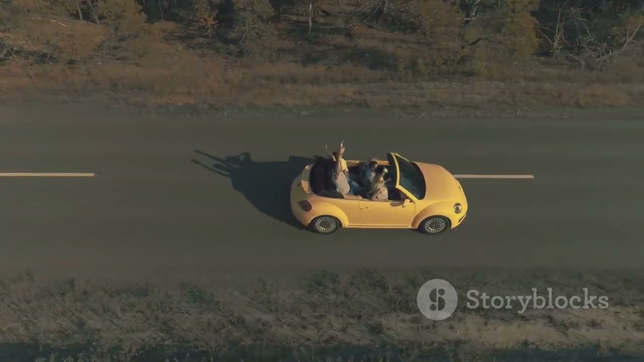 Friends Adventure