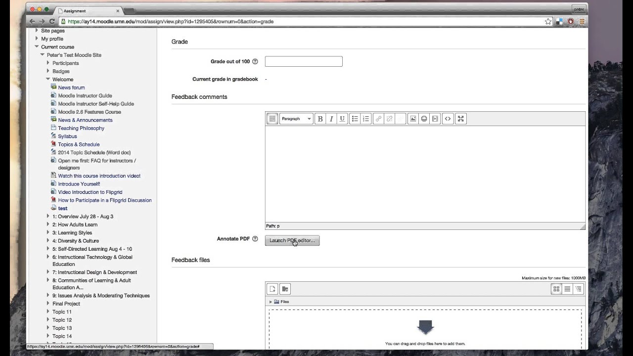 Annotate PDF submissions in Moodle 2.6