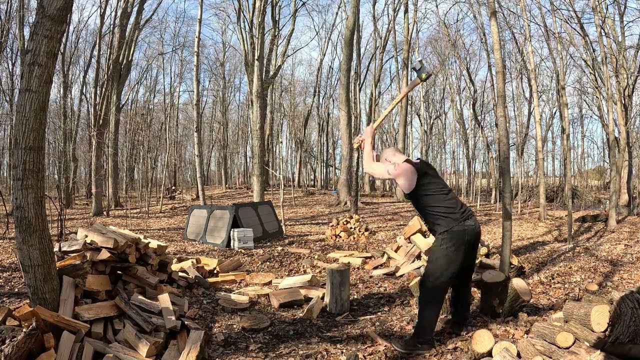 Daily Firewood: Day 42