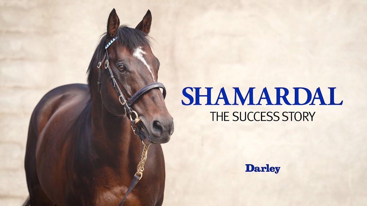 Shamardal | The Success Story
