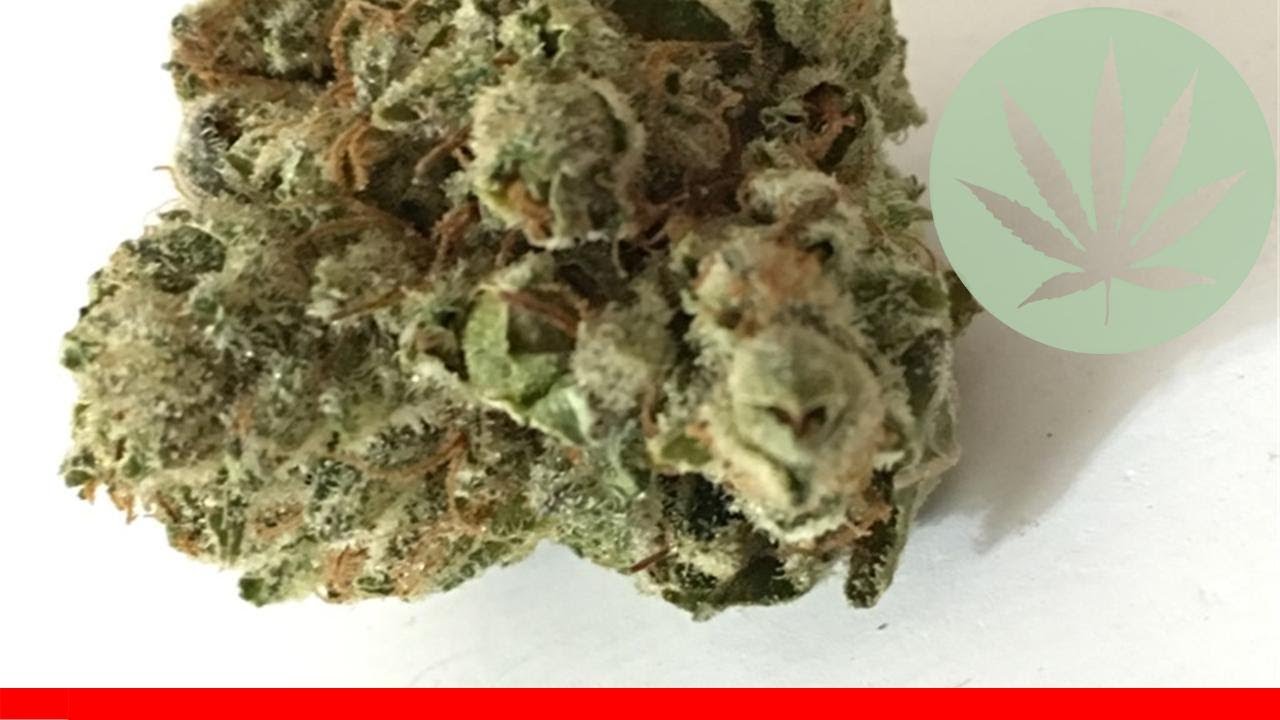 Tres Dawg - All About This Strain