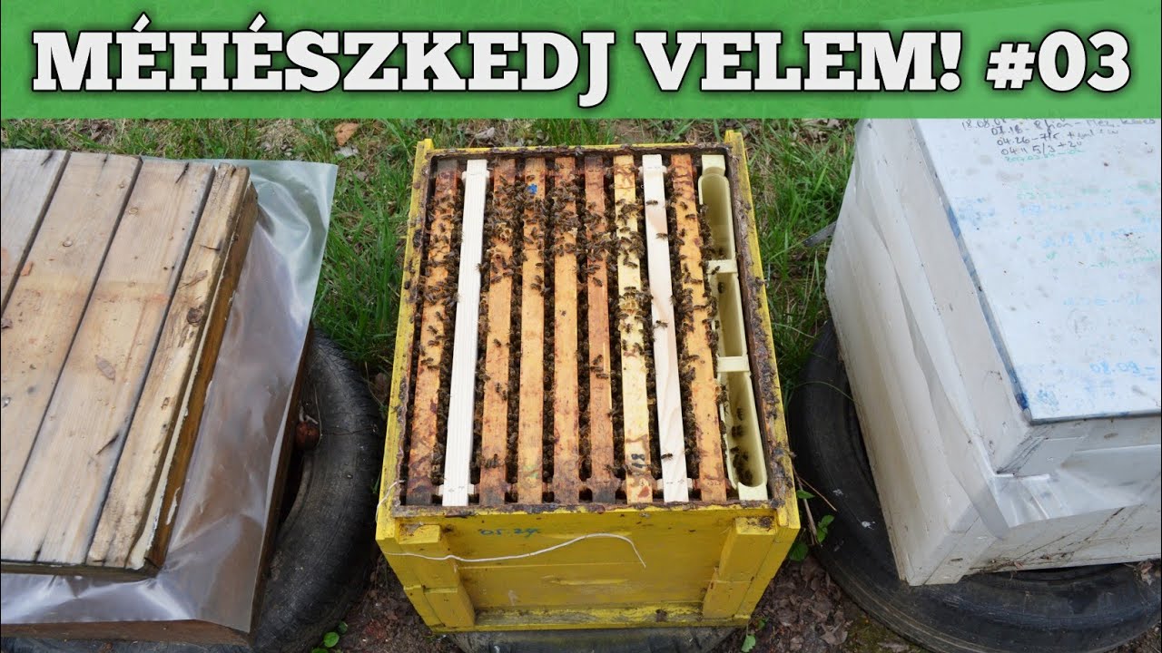 Méhészkedj velem #03