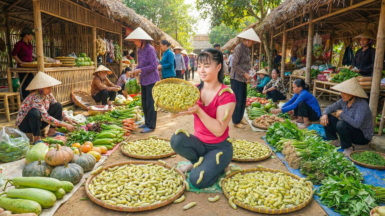 TEMILAPSE -- 268 Days Of Catching Silkworms And Fish To Sell At The Rural Market