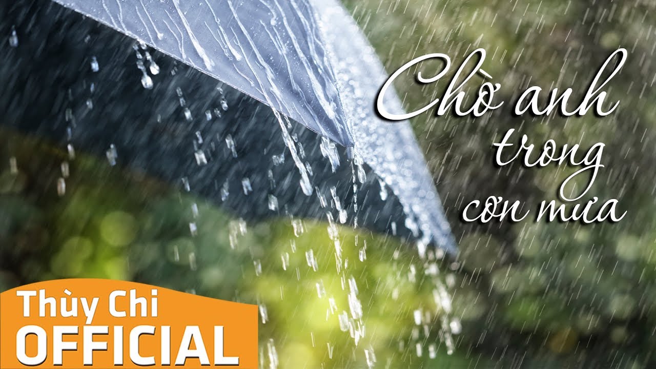 Chờ Anh Trong Cơn Mưa | Thùy Chi | Audio MV