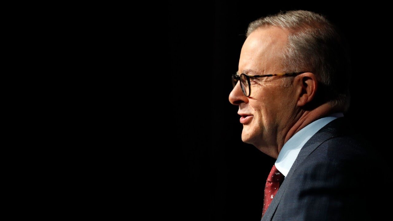 Concerns Albanese’s policies lack appropriate ‘level of consultation': Zali Steggall