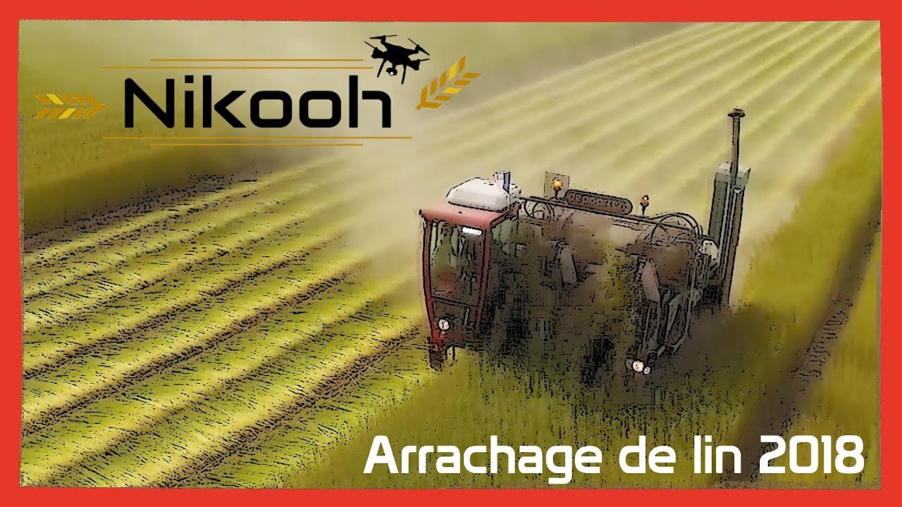 ARRACHAGE DE LIN 2018 - Plateau du Neubourg