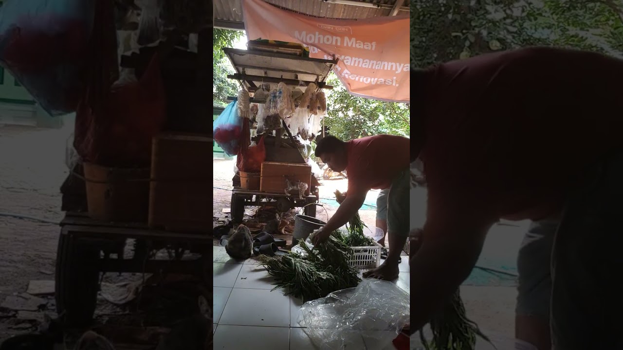 Menyimpan sisa dagangan sayuran biar bisa di jual besok