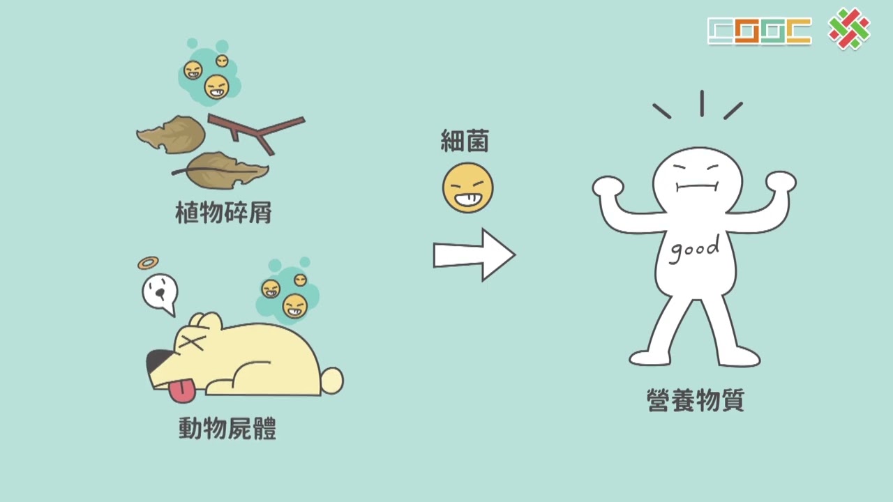 【觀念】原核生物界