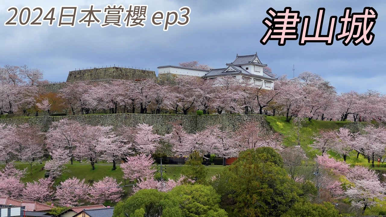 2024日本賞櫻 ep3｜岡山城、津山別邸、津山城
