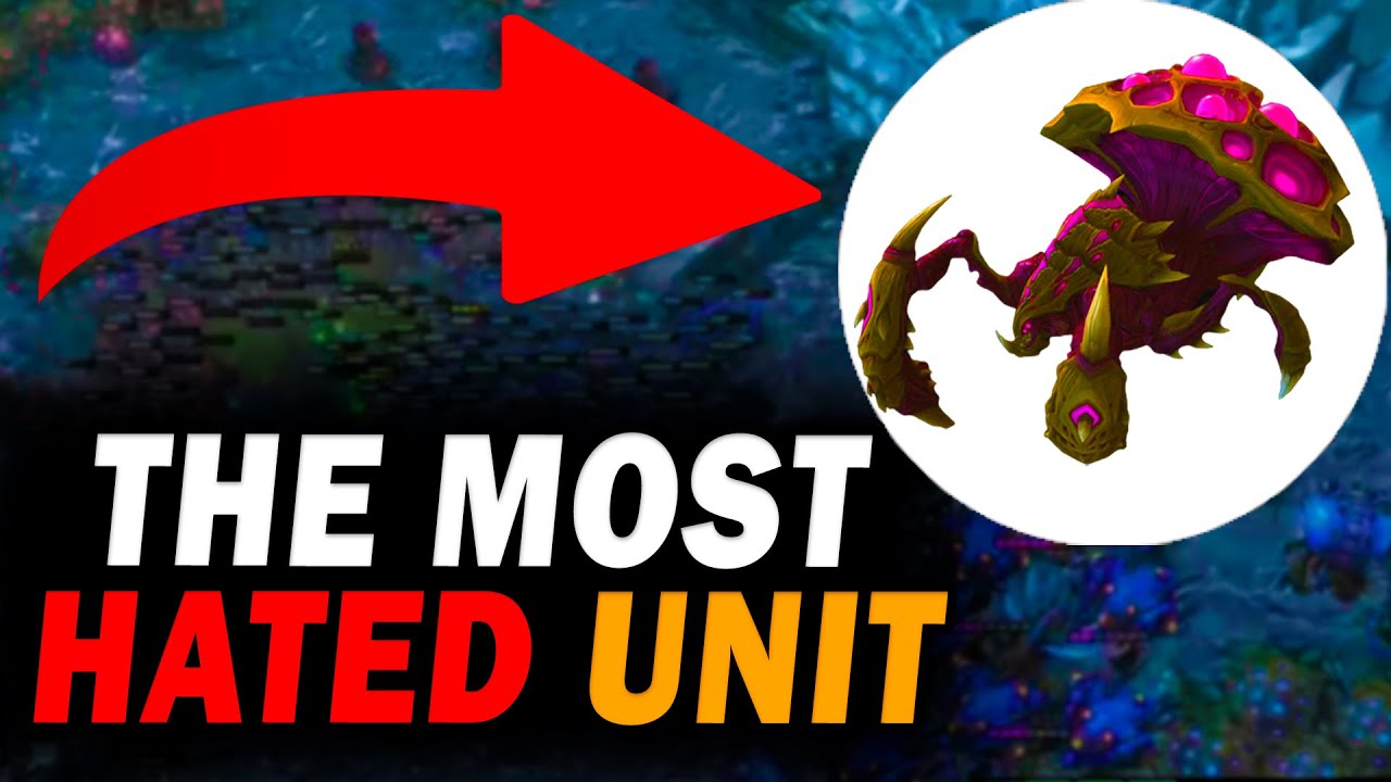 THE WORST META EVER EXISTED in StarCraft 2 - The Swarm Hosts story