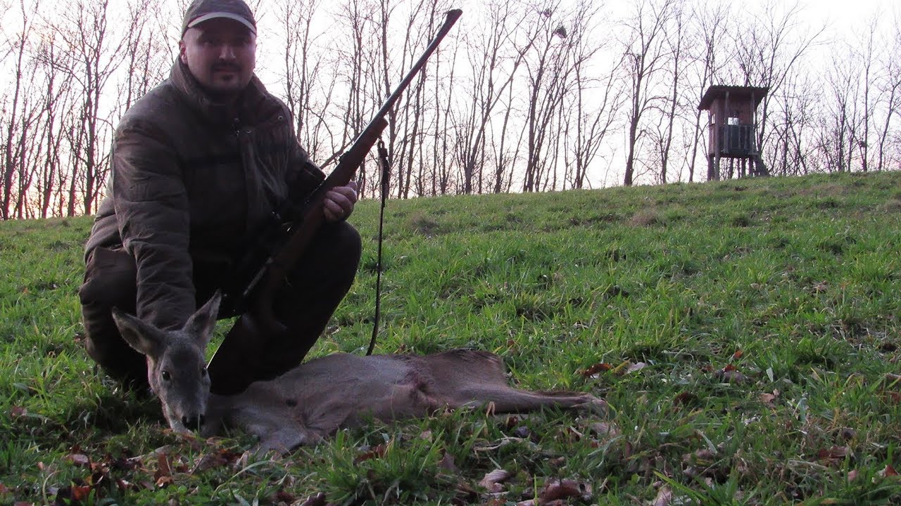 Roe deer hunt - end of season 2017/2018