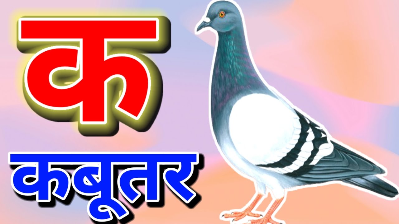 हिंदी वर्णमाला K से Kabutar | बच्चों के लिए मजेदार वीडियो। ABCD। A for apple। #kidssong #kids
