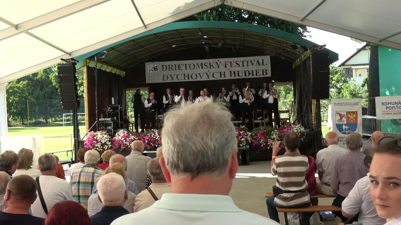 Muzikanti z Jiznich Cech