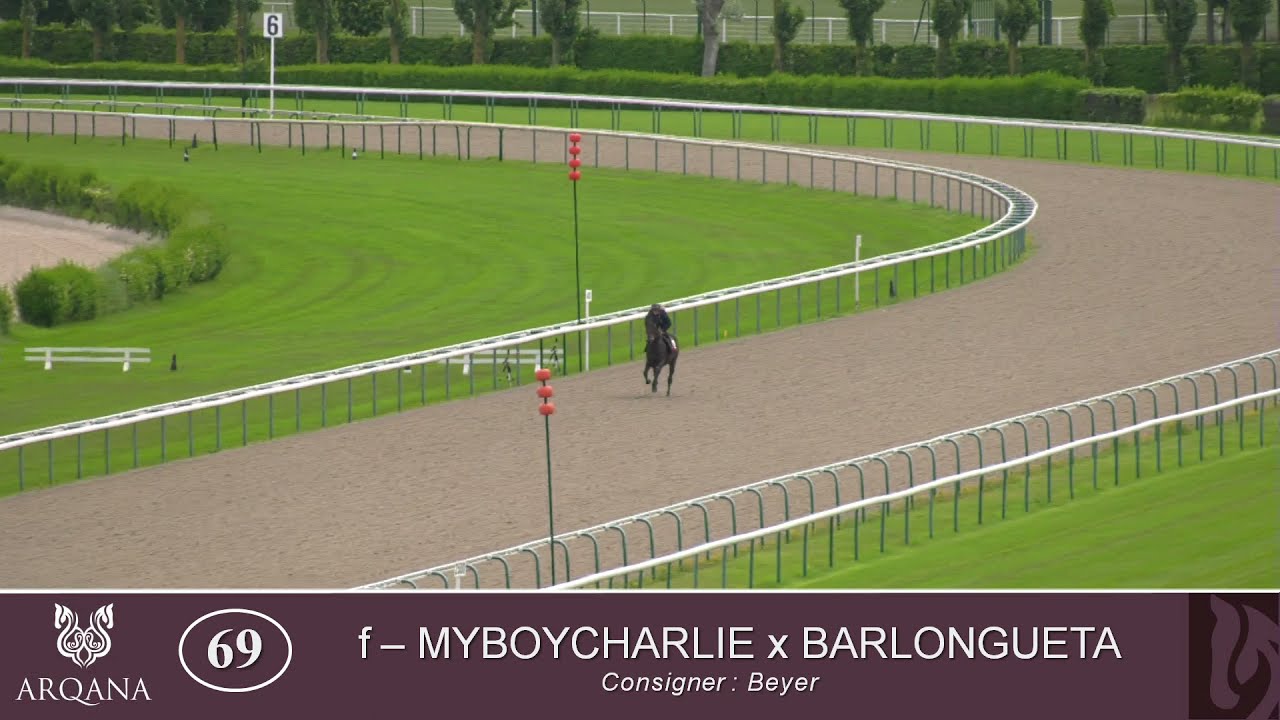 2021 Summer Sale - Lot 69 f. MYBOYCHARLIE x BARLONGUETA