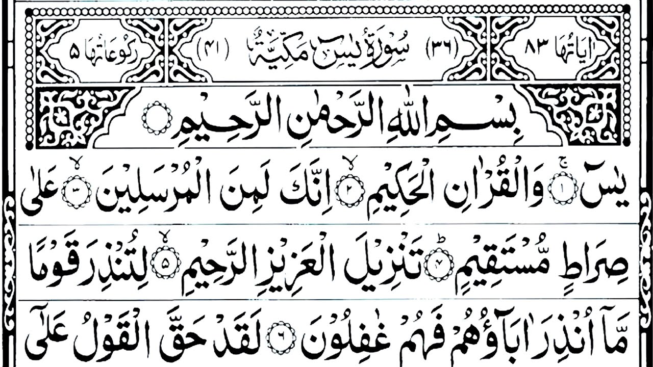 Surah Yasin | Surah Rahman | Surah Waqiah I Surah Mulk | Ep-207 | Full With Arabic Hd | SheikhSaddam