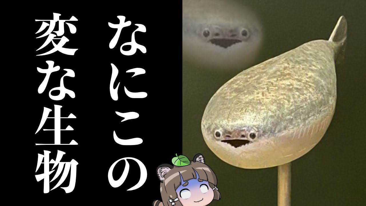 【Xで話題】サカバンバスピスってなんなの？シュールな顔から学ぶ無顎類の進化