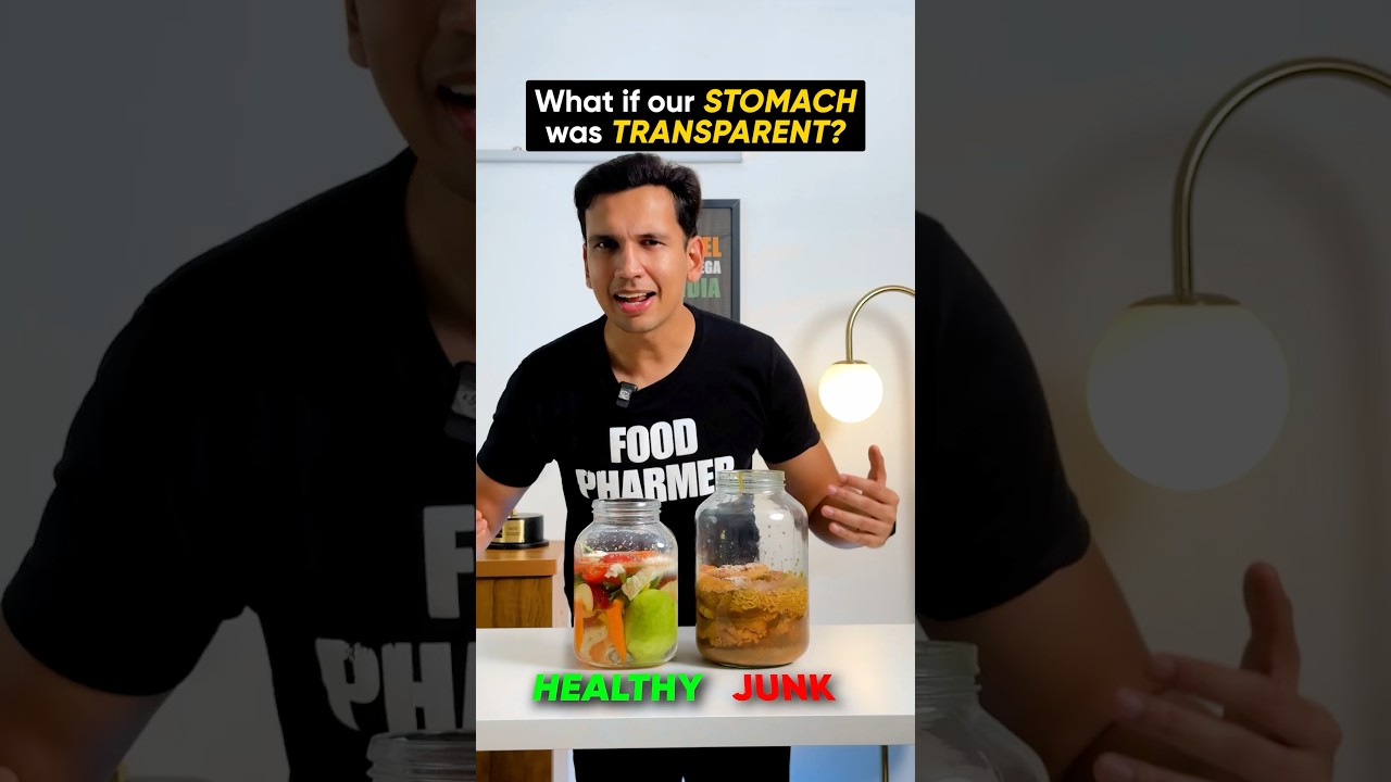 If humans had transparent stomachs?