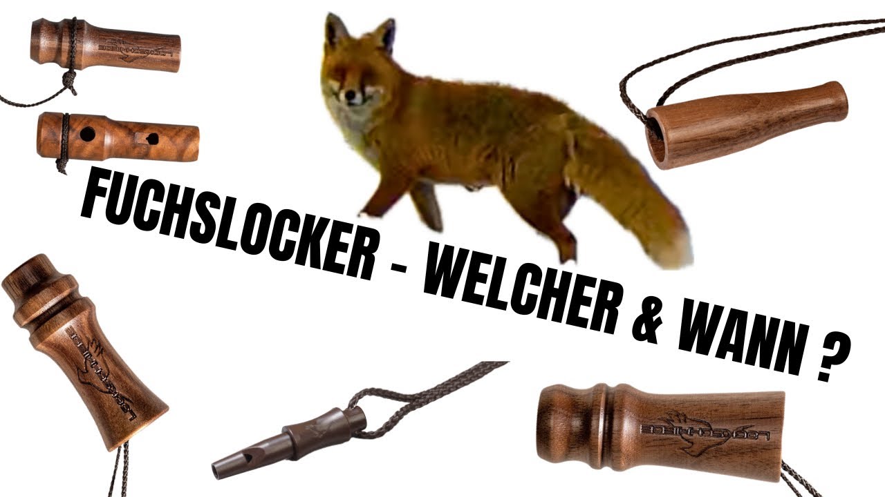 FUCHSJAGD  🦊 WELCHER LOCKER & WANN?  #fuchsjagd