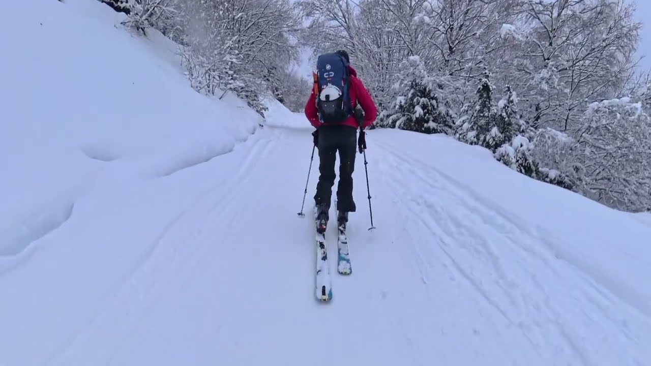 PANTICOSA. 31 DE ENERO Y 1 DE FEBRERO