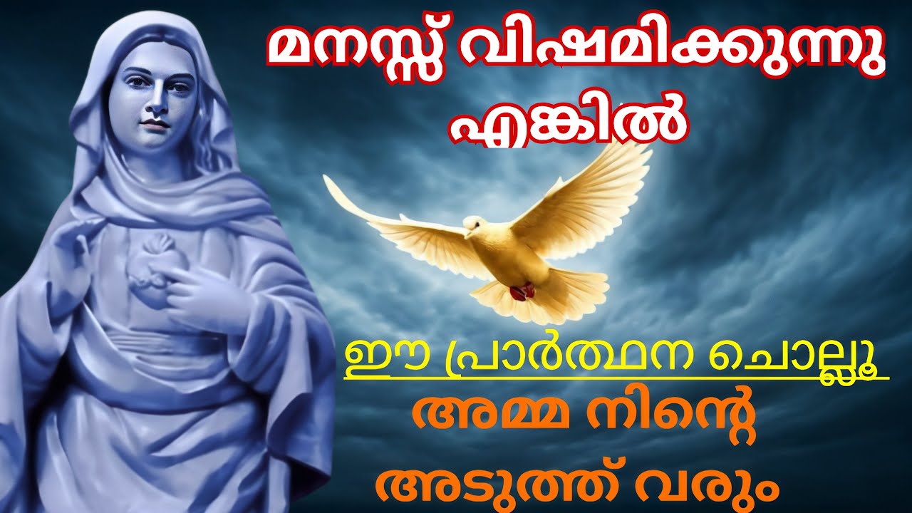 അമ്മ ഉറപ്പായും നിന്റെ അടുത്ത് വരും 15/4/26 #kripasanam  #Kreupasanam #കൃപാസനംഅമ്മ