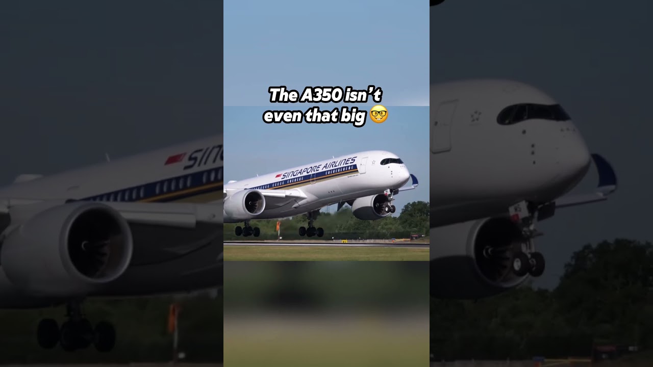 ✈️ Airbus A350 True Size #aviation #avgeek #airbus #airplane