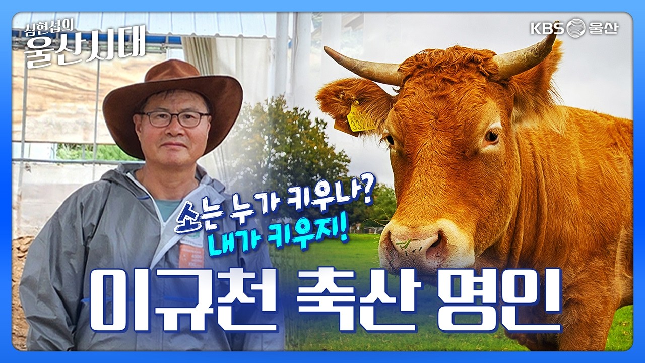 심현섭의 울산시대 (인물 초대석) 소는 누가 키우나? 내가 키우지 이규천 축산 명인