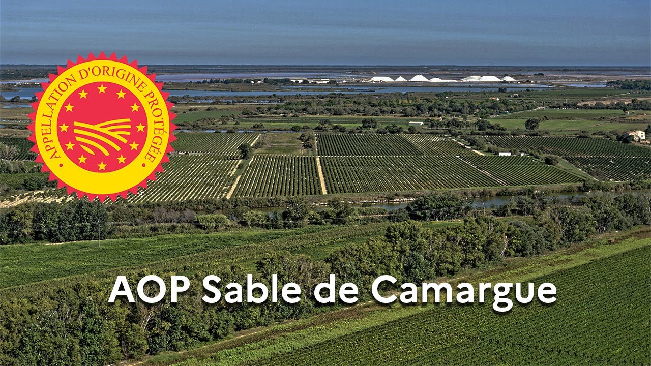 Viticulture : « Sable de Camargue » enregistré en Appellation d’Origine Protégée (AOP)