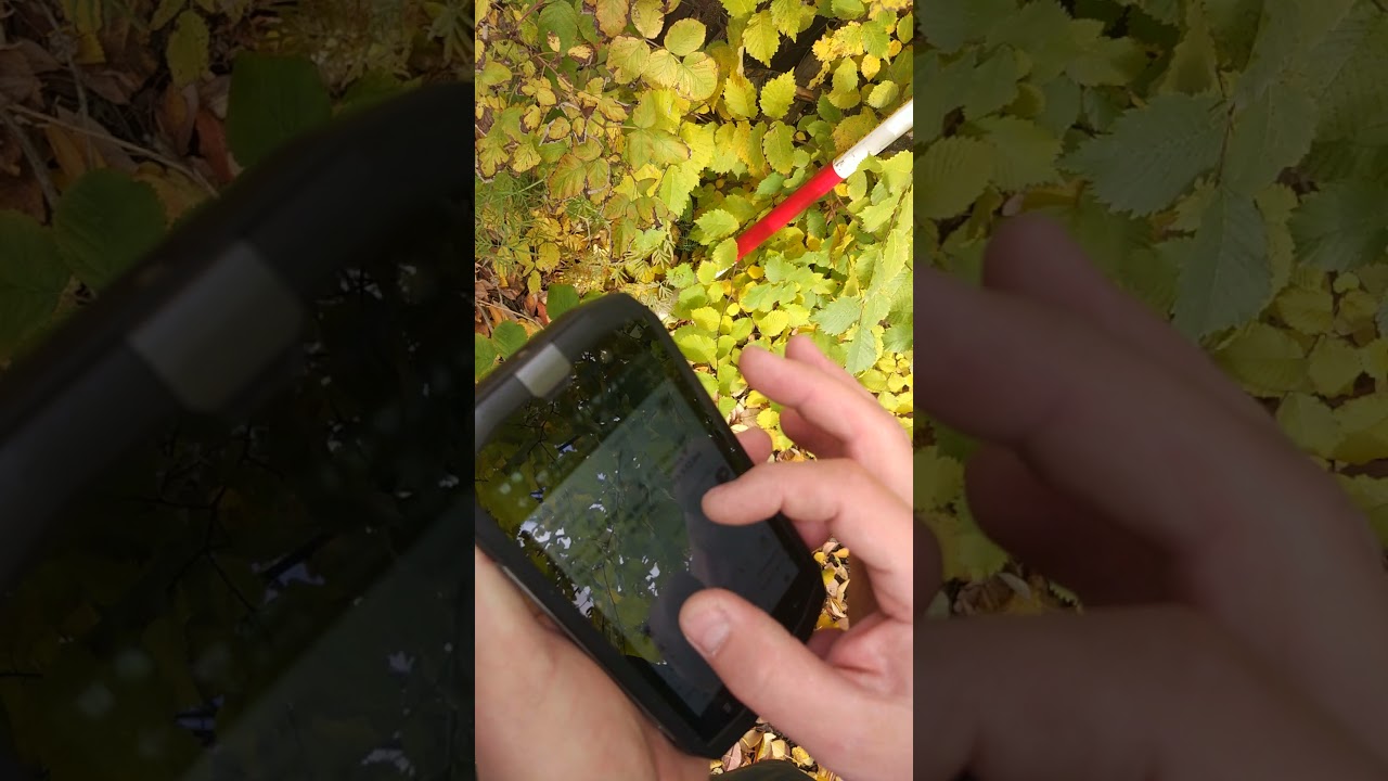 Соседи захватили мой участок и пытаются доказать что их территория!(1)