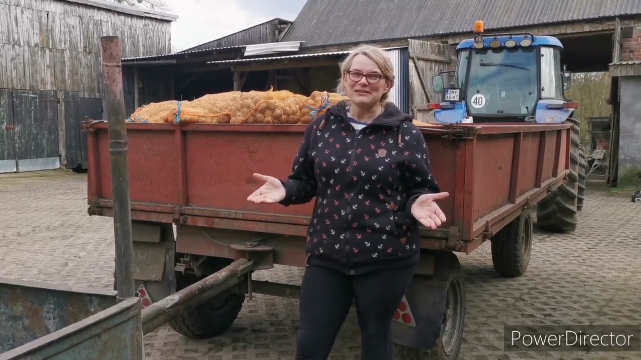 Sadzenie ziemniak&oacute;w - na co zwr&oacute;cić uwagę aby mieć dobry plon - przygotowanie pola