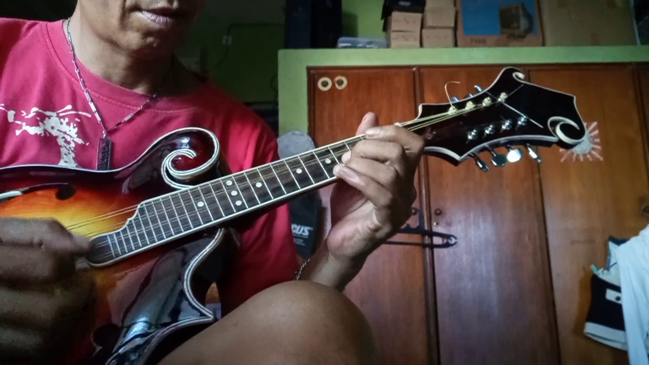 Mandolin hand made
