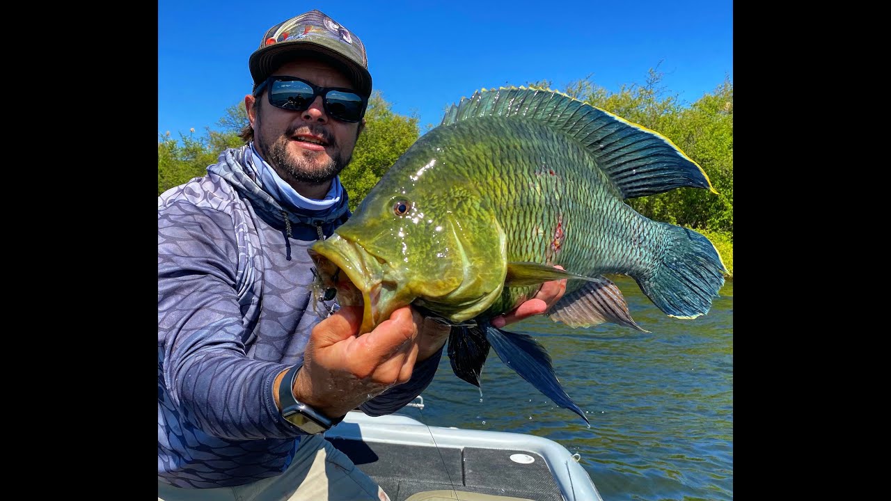 Calling Trophy Nembwe Out Of Their Lair with the New Afri Jatter Jig 🎣🔥