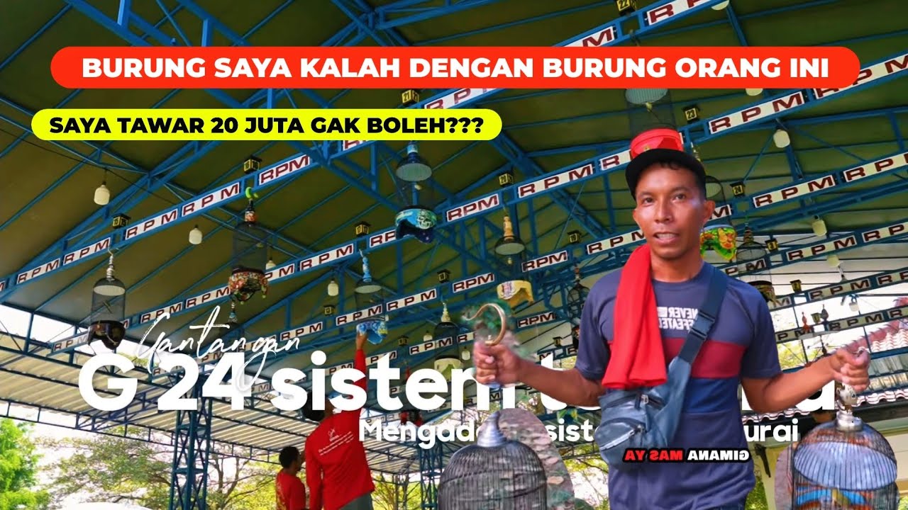 Gantang Pleci Tanpa Teriak!G24 ajuan terbuka Sahdu tenan boskuh.Salam Pleci Mania pokok semangat.